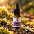 Carthago Lavendelhydrolat 10ml
