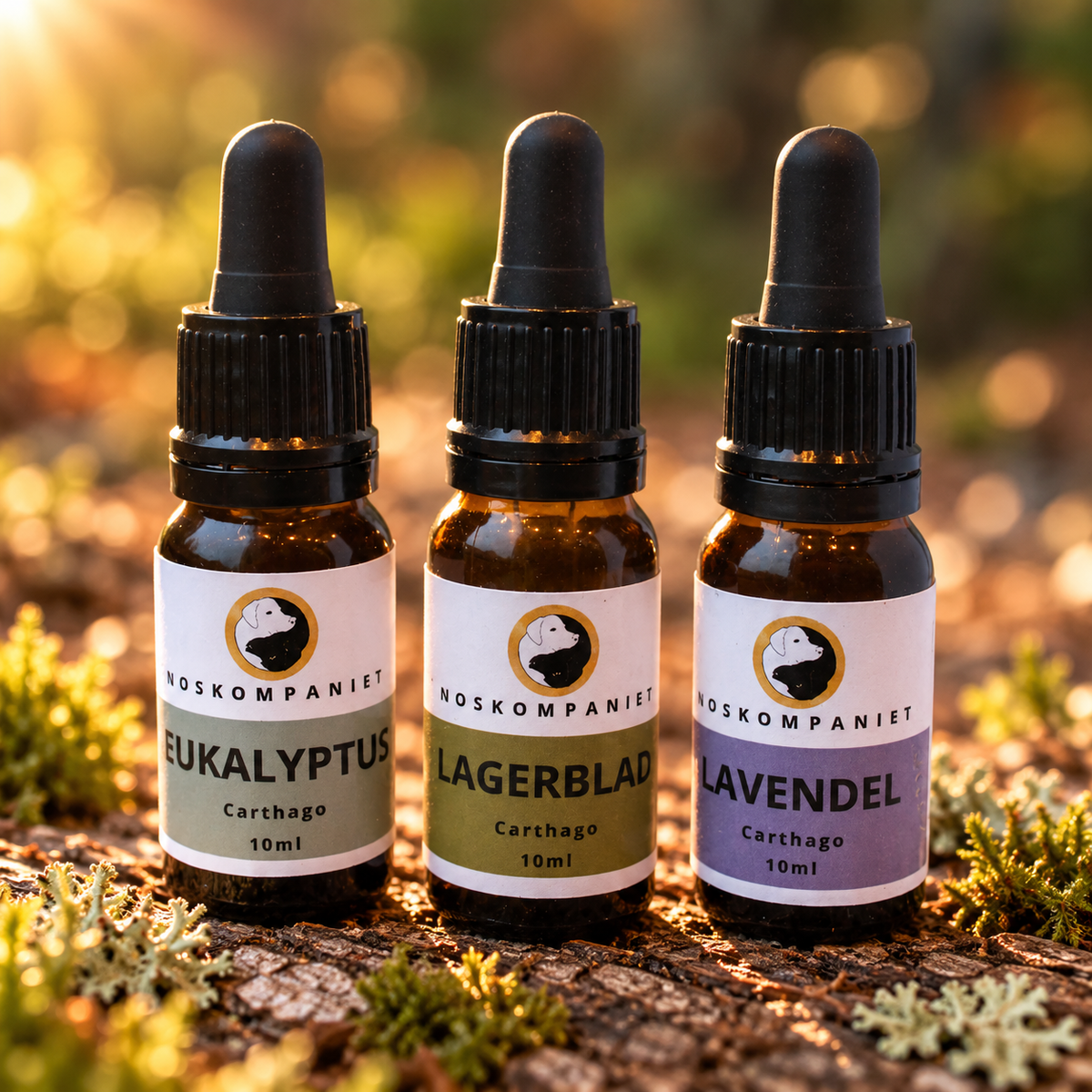 Carthago hydrolat 3-pack 10 ml
